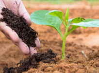 Hóa chất Nông nghiệp là gì? Công ty cung cấp Hóa chất nông nghiệp
