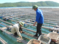 Minh Hiếu – Công ty cung cấp Hóa chất ngành thủy sản uy tín, giá rẻ